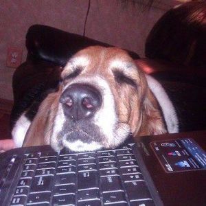 Meet your Posher, Kim